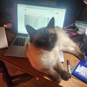 Meet your Posher, Florence